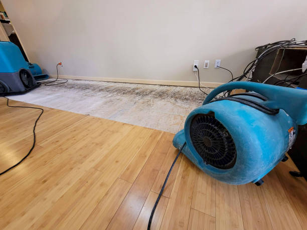 Professional Flood Damage Cleanup technician working in Roosevelt, AZ